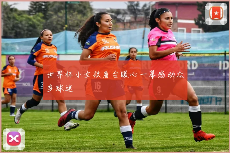 世界杯小女孩看台暖心一幕感动众多球迷