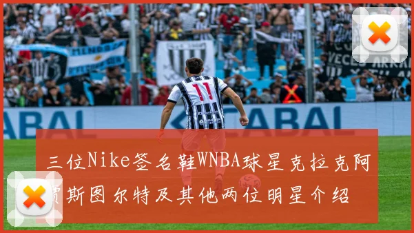 三位Nike签名鞋WNBA球星克拉克阿贾斯图尔特及其他两位明星介绍