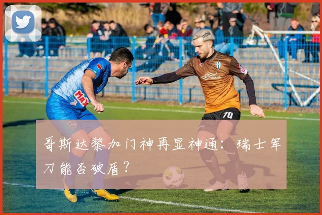哥斯达黎加门神再显神通：瑞士军刀能否破盾？